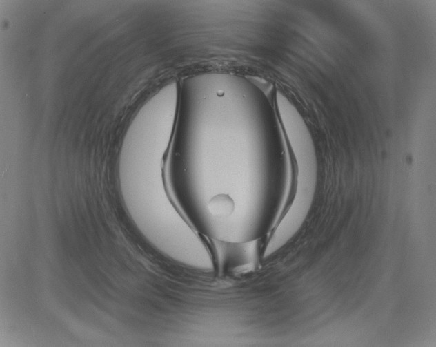 X0000081490750200702021922