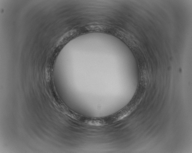 X0000081490751200702021922