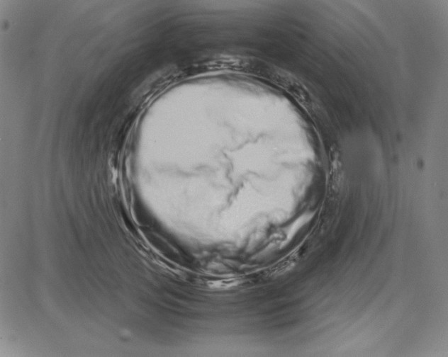 X0000081490753200702021922