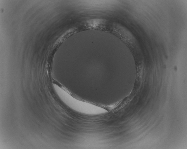 X0000081490754200702021922