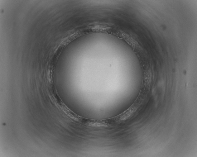 X0000081490755200702021922