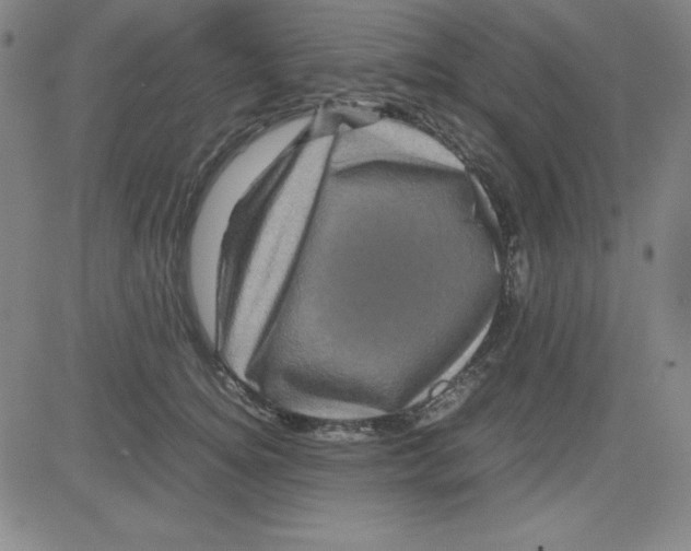 X0000081490756200702021922