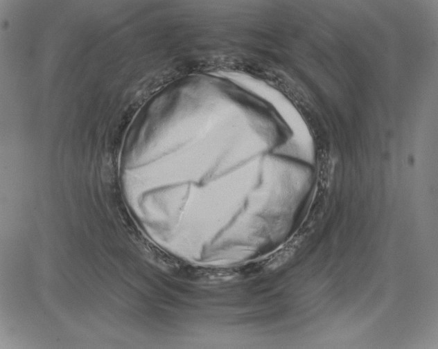 X0000081490757200702021922