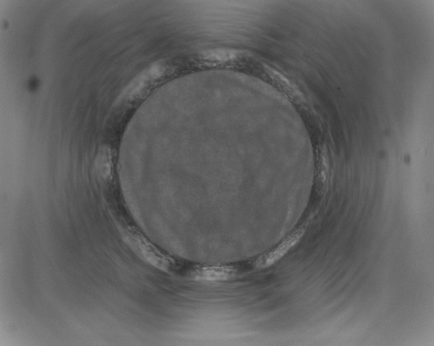 X0000081490758200702021922