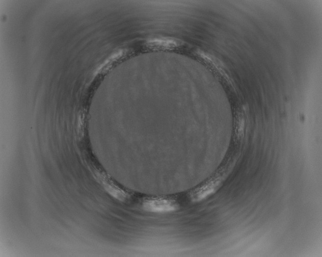 X0000081490759200702021922