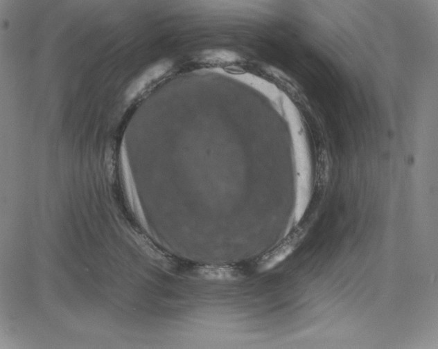 X0000081490762200702021922