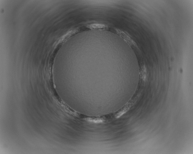 X0000081490763200702021922