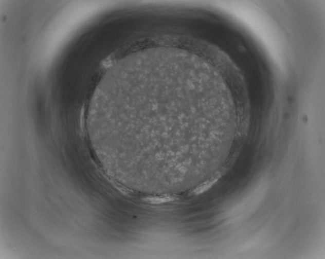 X0000081490765200702021923