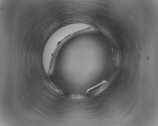 X0000081490766200702021923