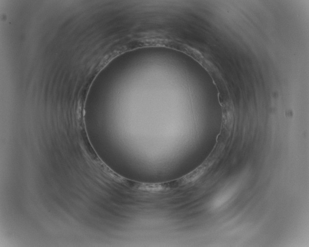 X0000081490767200702021923