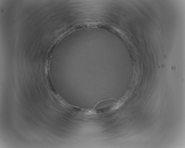 X0000081490768200702021923