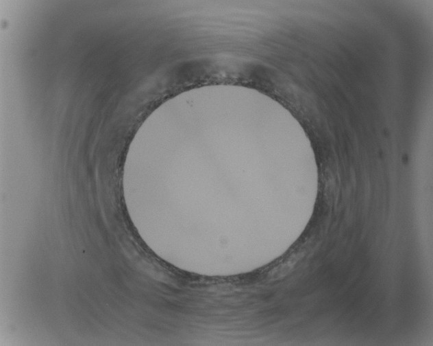 X0000081490769200702021922