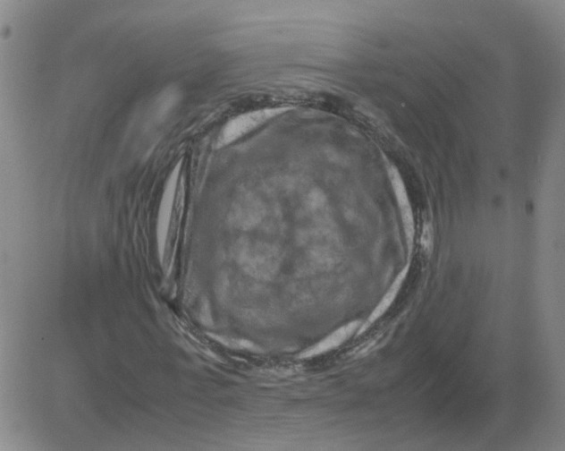 X0000081490771200702021922