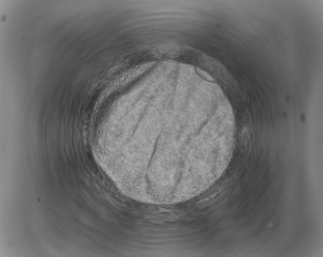 X0000081490772200702021922