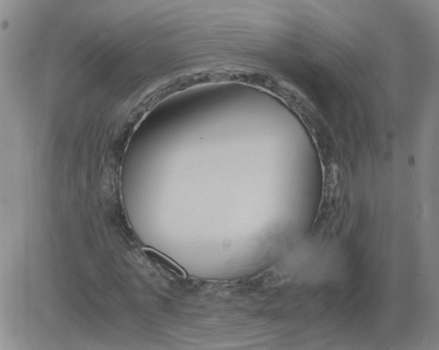 X0000081490773200702021922