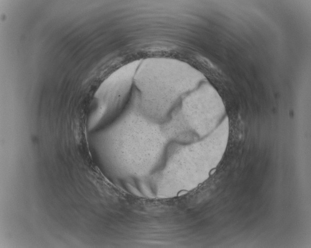 X0000081490774200702021922