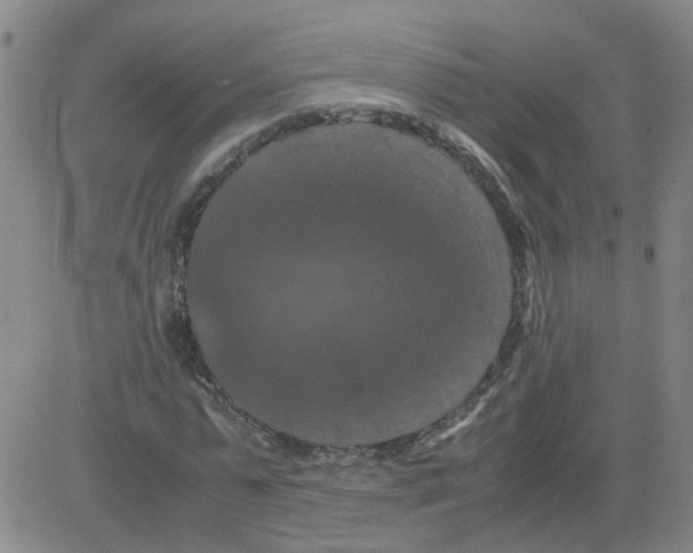 X0000081490775200702021922