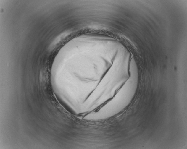 X0000081490776200702021922