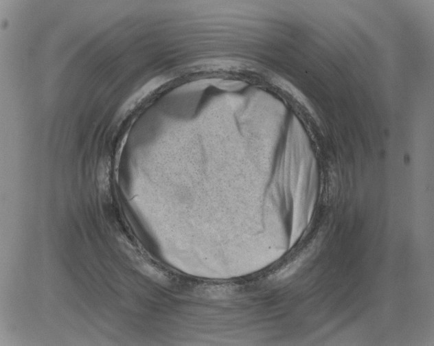 X0000081490778200702021922