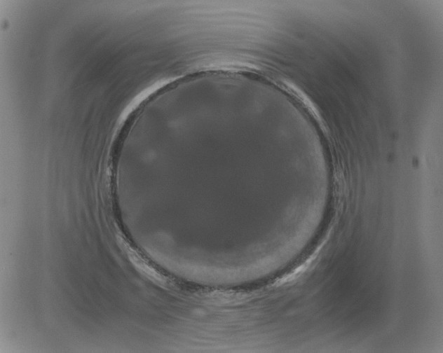 X0000081490779200702021922