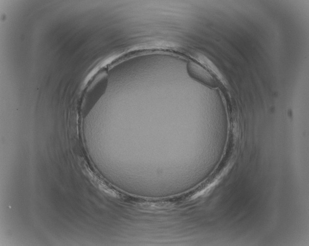 X0000081490781200702021922