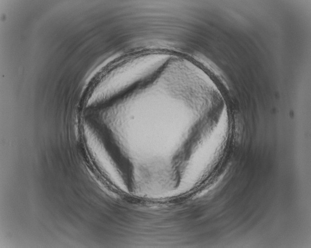 X0000081490782200702021922