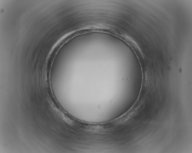 X0000081490784200702021922