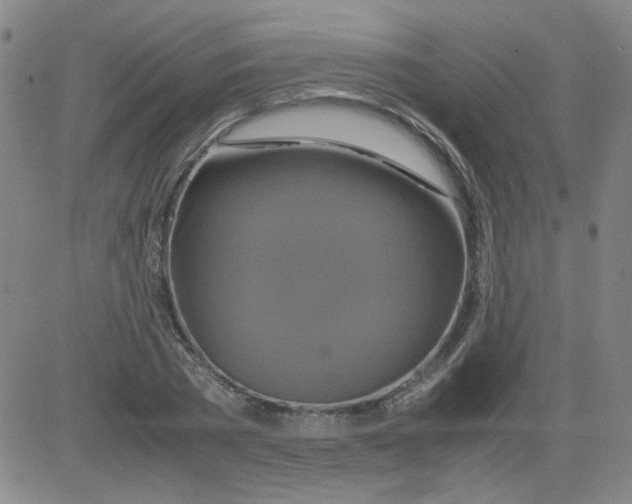 X0000081490785200702021922