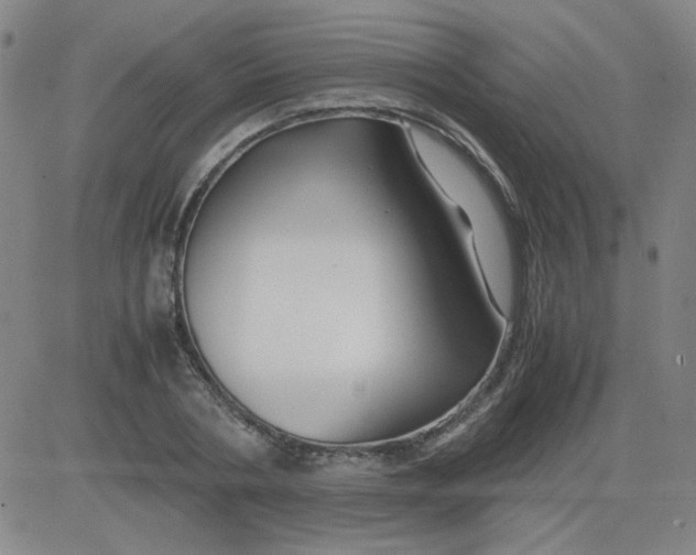 X0000081490786200702021921