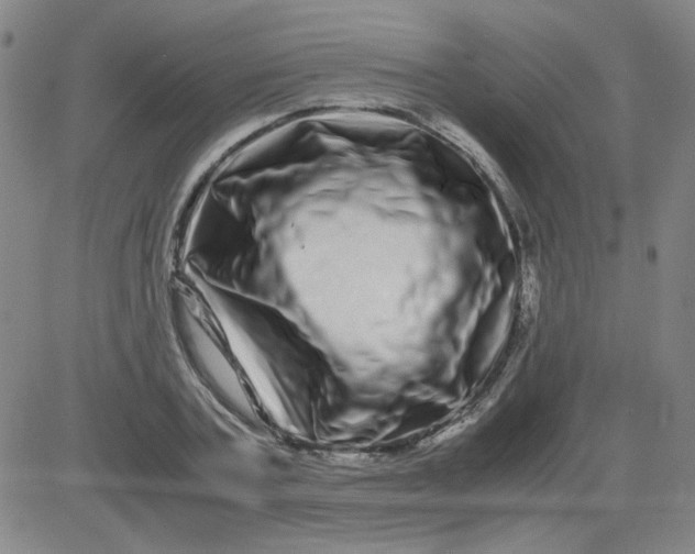 X0000081490787200702021921