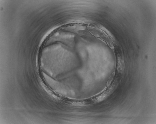 X0000081490788200702021921