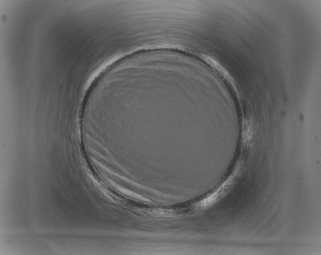 X0000081490789200702021921