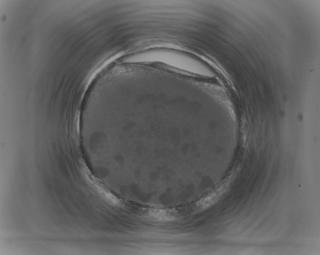 X0000081490790200702021921