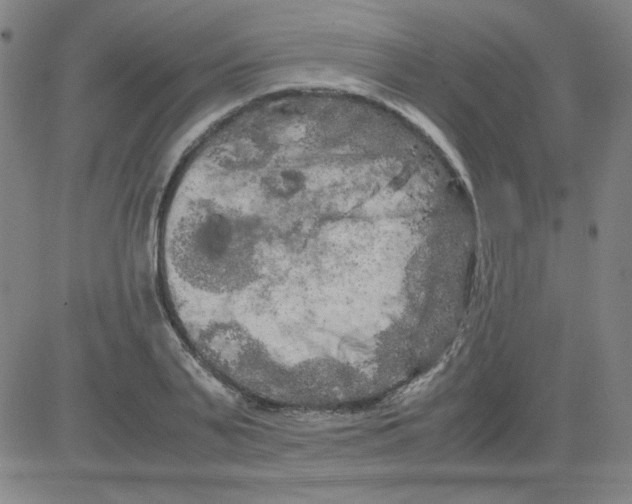 X0000081490791200702021921