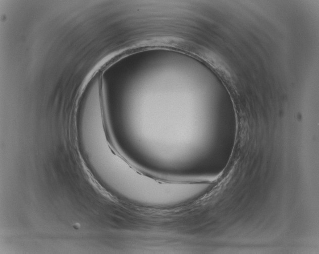 X0000081490792200702021921