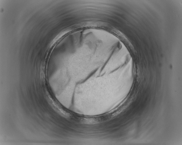 X0000081490794200702021921