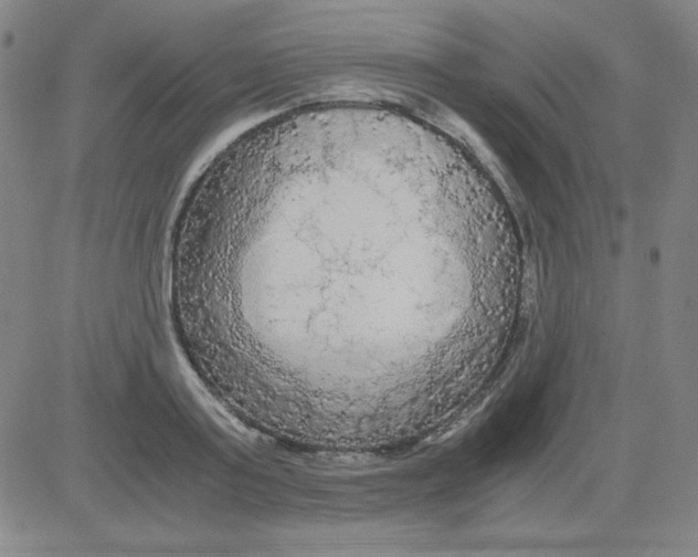 X0000081490795200702021921