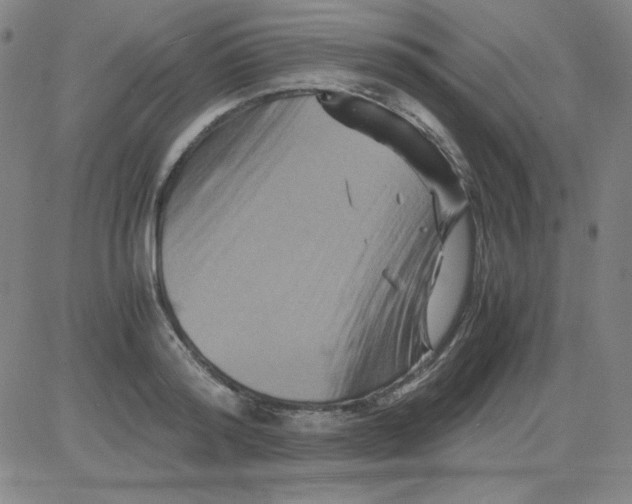 X0000081490796200702021921