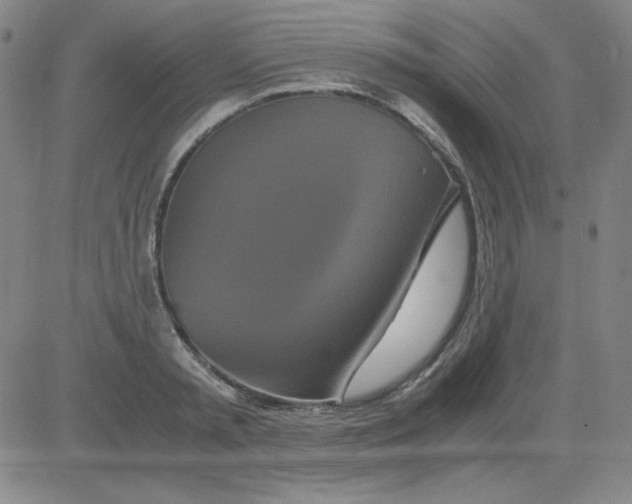 X0000081490797200702021921