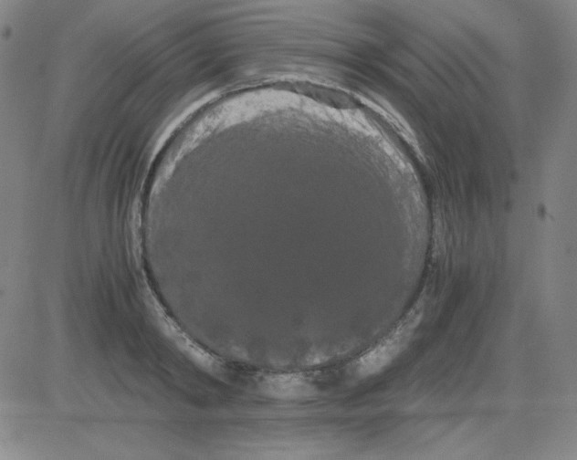 X0000081490798200702021921