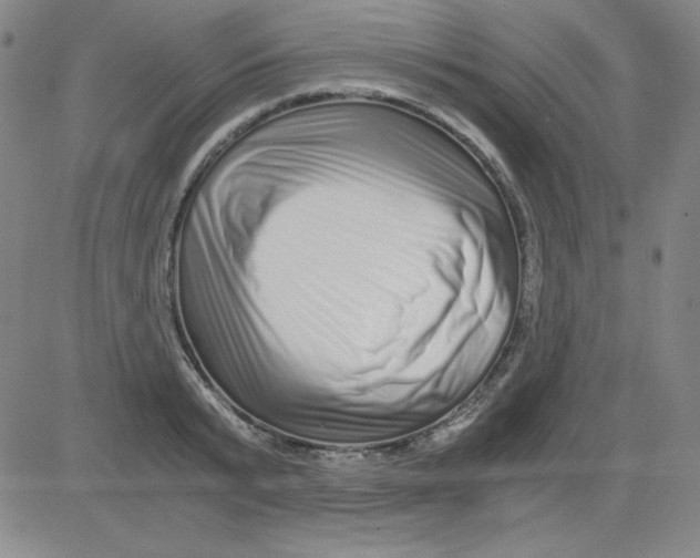 X0000081490799200702021921