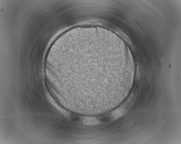 X0000081490800200702021921