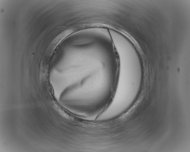 X0000081490801200702021921