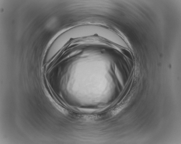 X0000081490803200702021921