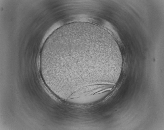 X0000081490804200702021921