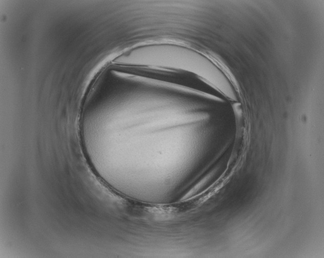 X0000081490805200702021921