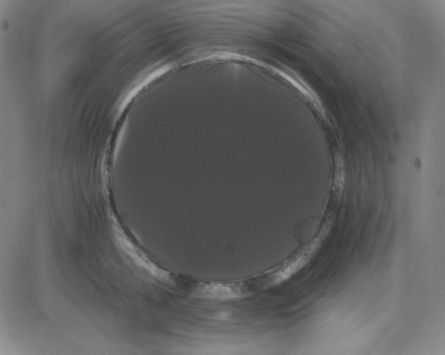 X0000081490806200702021921