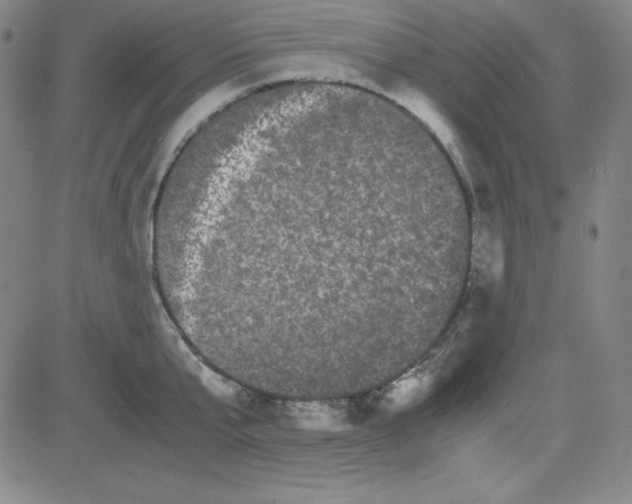 X0000081490807200702021921