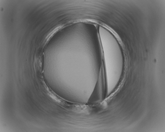 X0000081490809200702021921