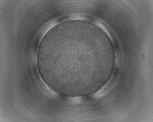 X0000081490810200702021921